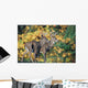 White-Tailed Deer Wall Mural