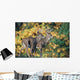 White-Tailed Deer Wall Mural