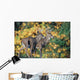 White-Tailed Deer Wall Mural