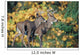 White-Tailed Deer Wall Mural