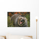 Grizzly Bear In Threat Posture, Rocky Mountains Wall Mural