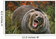Grizzly Bear In Threat Posture, Rocky Mountains Wall Mural