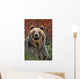 Grizzly Bear Wall Mural