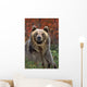 Grizzly Bear Wall Mural
