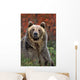 Grizzly Bear Wall Mural