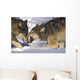 Gray Wolves In Winter Wall Mural