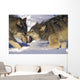Gray Wolves In Winter Wall Mural
