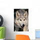 Gray Wolf Wall Mural