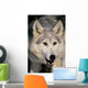 Gray Wolf Wall Mural