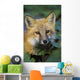Red Fox Wall Mural