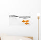 Small Group Goldfish Water