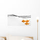 Small Group Goldfish Water