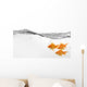 Small Group Goldfish Water