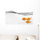 Small Group Goldfish Water