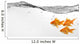 Small Group Goldfish Water