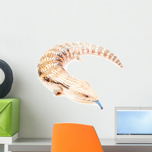 Blue-tongued skink Wall Decal