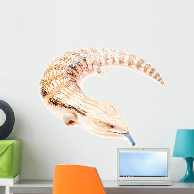 Blue-tongued Skink Wall Decal shown on a wall
