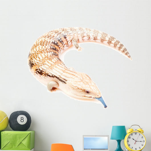 Blue-tongued skink Wall Decal