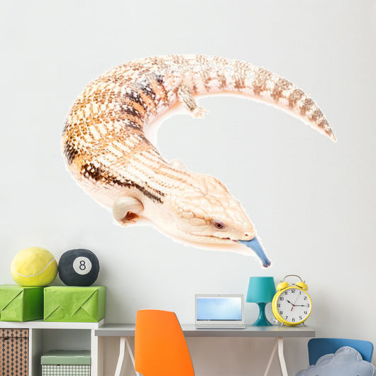 Blue-tongued skink Wall Decal