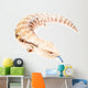 Blue-tongued skink Wall Decal