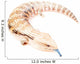 Blue-tongued skink Wall Decal