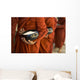 Monks With Rice Bowls, Inle Lake, Myanmar Wall Mural