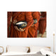Monks With Rice Bowls, Inle Lake, Myanmar Wall Mural