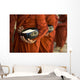 Monks With Rice Bowls, Inle Lake, Myanmar Wall Mural