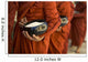Monks With Rice Bowls, Inle Lake, Myanmar Wall Mural