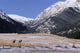 American Elk Wall Mural