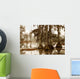 misty morning in the swamp Wall Mural