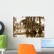 misty morning in the swamp Wall Mural