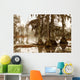 misty morning in the swamp Wall Mural