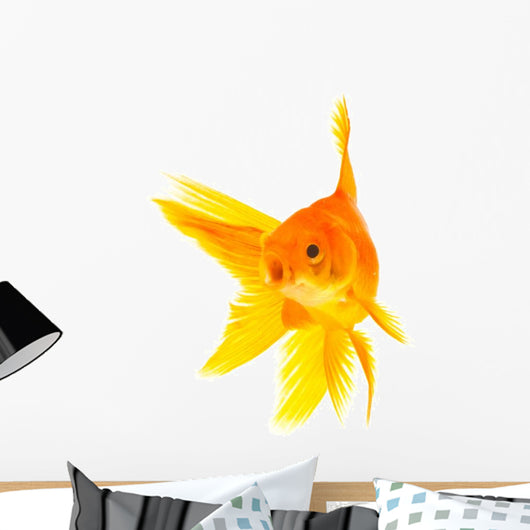 Goldfish Wall Mural