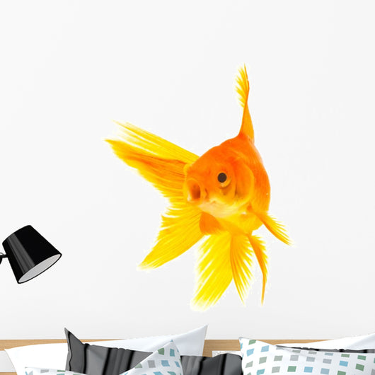 Goldfish Wall Mural