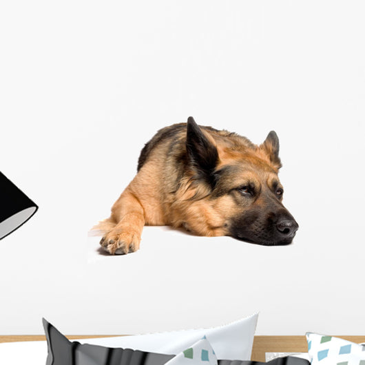 German shepherd Wall Decal