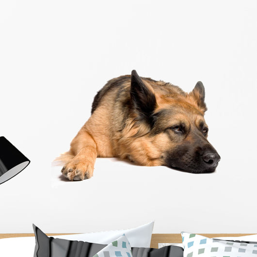 German shepherd Wall Decal