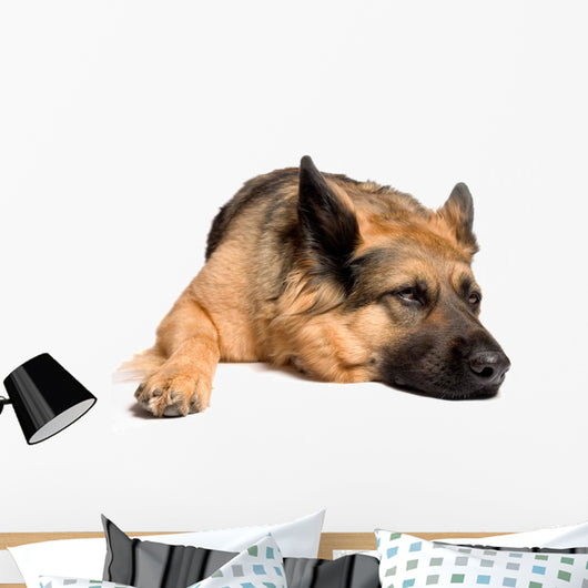 German shepherd Wall Decal