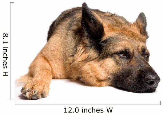 German shepherd Wall Decal