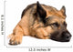 German shepherd Wall Decal