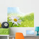 Printemps Fr Hling Wall Decal