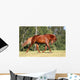 Sorrel Horse Running Meadow Wall Decal