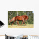 Sorrel Horse Running Meadow Wall Decal