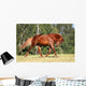 Sorrel Horse Running Meadow Wall Decal