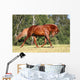 Sorrel Horse Running Meadow Wall Decal