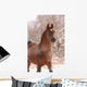 Chestnut Arabian Horse Portrait Wall Decal