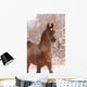 Chestnut Arabian Horse Portrait Wall Decal
