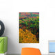 Autumn Trees, Ottawa Valley, Ontario Wall Mural