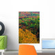 Autumn Trees, Ottawa Valley, Ontario Wall Mural