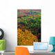 Autumn Trees, Ottawa Valley, Ontario Wall Mural